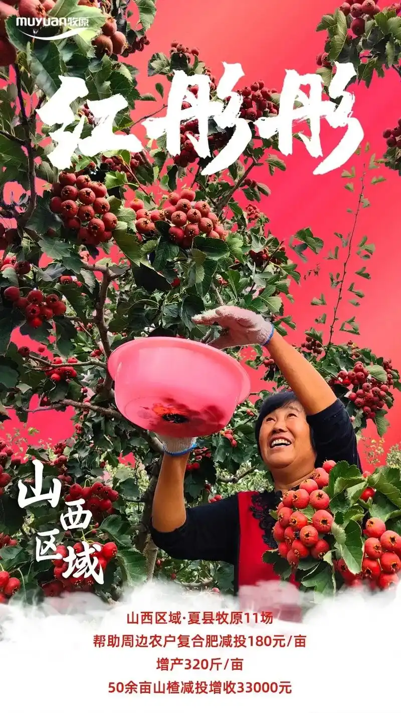 牧原助农丰收的景象,五彩斑斓!秋收时节,五谷丰登,硕果累累! - 抖音