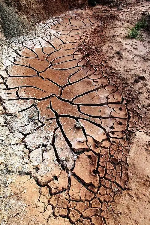 节约用水公益广告