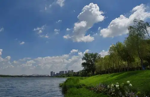 浑河岸边景色美(2020.08.06)