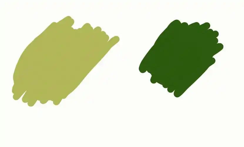 客厅用墨绿色好不好? - 知乎