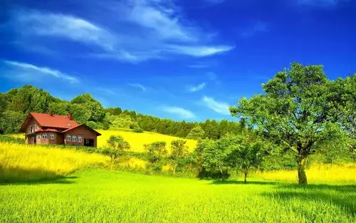 碧青绿意风景壁纸_惬意的生活