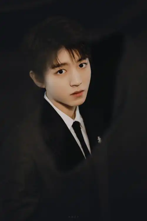 78王俊凯cr野楹寻诗