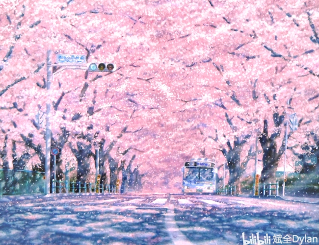 pixiv|p站美图壁纸分享【樱花与星空】