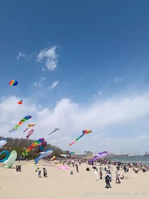 在阳光沙滩海鸥中尽情欢乐