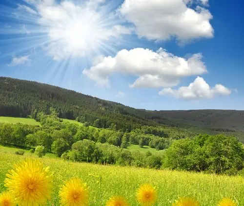 美丽春天草原风景图片素材(图片id:146257)_花草图片-花的图片-图片