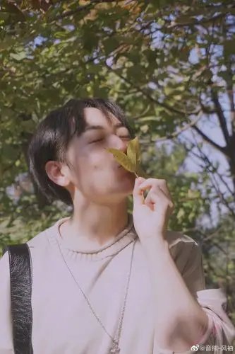 图源微博:音熊–风袖