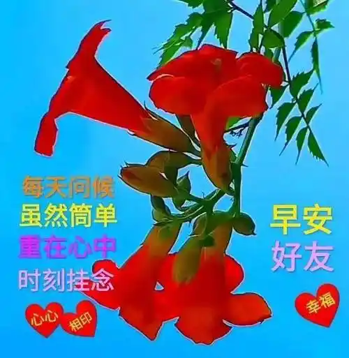 早晨非常阳光早安问候语祝福朋友早上好动态表情图片大全带字