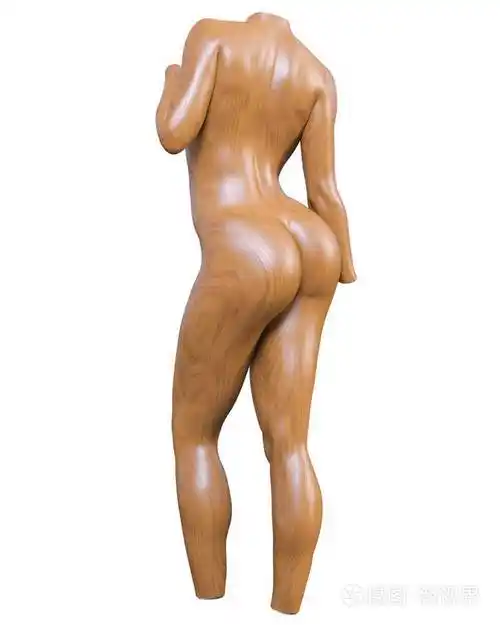 女性人体模特人体躯干