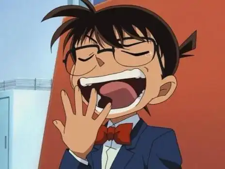 4.窝在家看《名侦探柯南》