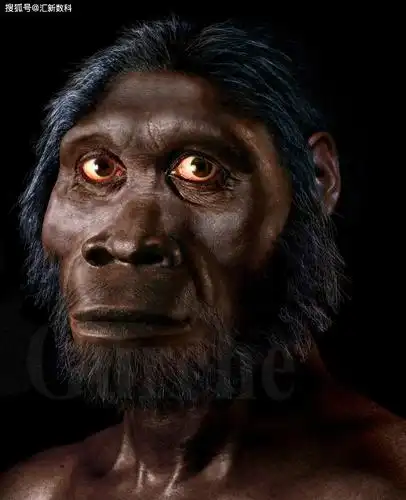 原创七大已绝种的人类