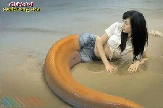 半人半蛇图片美女变成蛇人图片大全