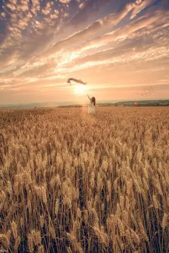 夏之韵麦田人像