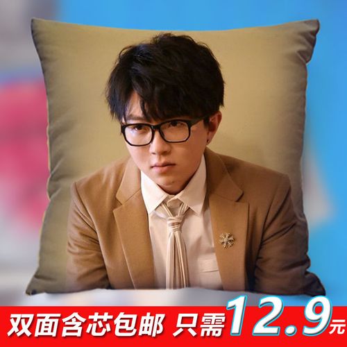 明日之子毛不易巨星海报同款周边抱枕靠垫定制来图定做生日礼物品