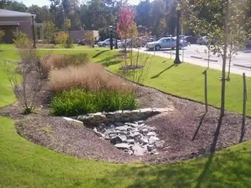 国外的雨水花园设计,值得收藏