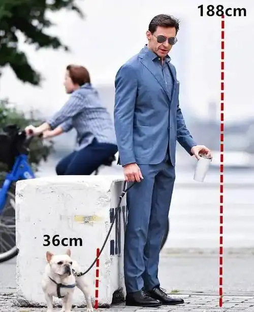 为什么160的女生看起来比170的男生高?|女生|身高|骨架_新浪新闻