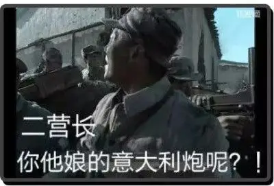 把他娘的意大利炮