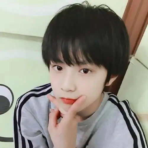 刘耀文(幼崽时期)-tnt照片墙-话本小说网