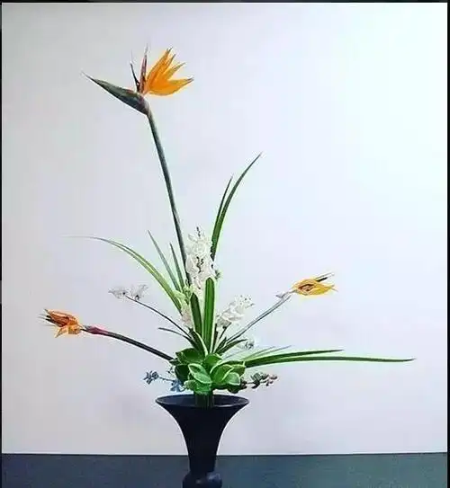 花道|5分钟,带你了解日式立花