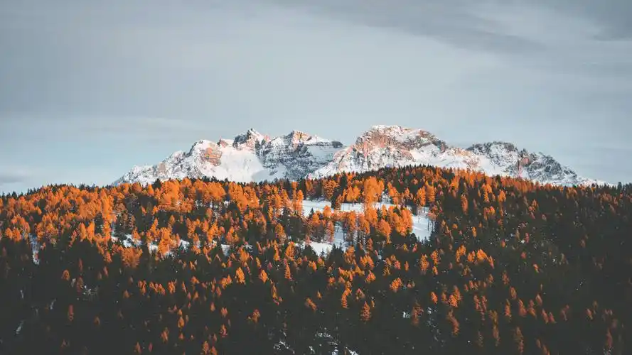 高清壁纸排行榜(ipad壁纸软件排行榜)