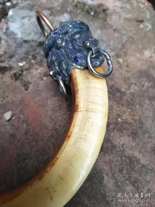 正宗野猪牙吊坠野猪獠牙手把件