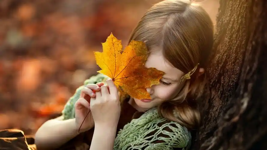 人物,小女孩,枫叶,欧美,害羞的小女孩壁纸