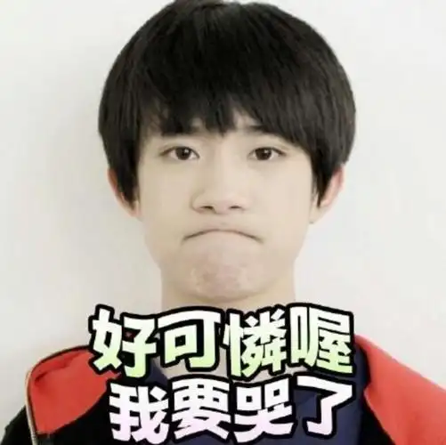 加油-王俊凯之傲娇小萌妃-话本小说网