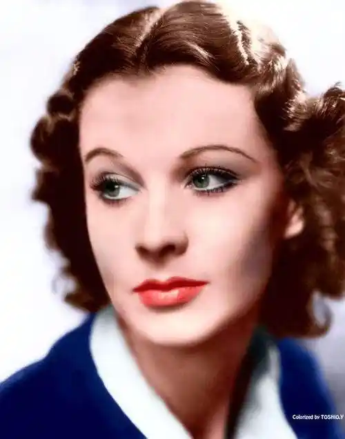 费雯·丽那双灰蓝色的眼睛既温情脉脉又流露出猫一样的狡黠,高贵的