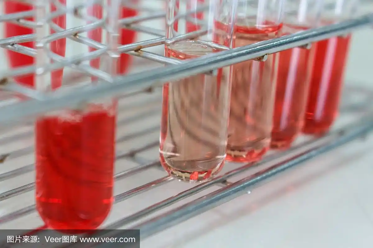 试管中的红细胞准备测试