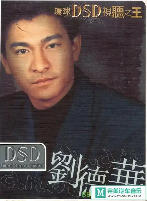 刘德华《环球dsd视听之王》[2003/flac cue/整轨/bd]