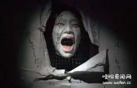 揭秘哪种生肖可以看到鬼生肖牛和狗能够看到和感应到鬼魂