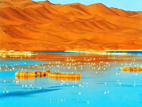 阿拉善盟腾格里沙漠天鹅湖