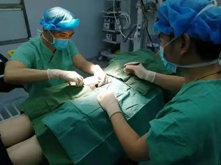 一例包皮环切术后粘连皮桥的整形修复