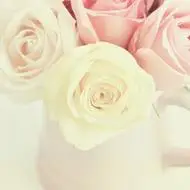 唯美清新淡雅的头像图片,微信头像图片