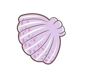 原创手绘小清新紫色贝壳卡通装饰插画