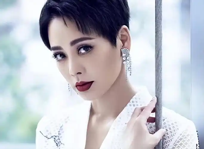 回顾:沦为"综艺咖"的宁静,跟刘晓庆遭遇了同样的困境