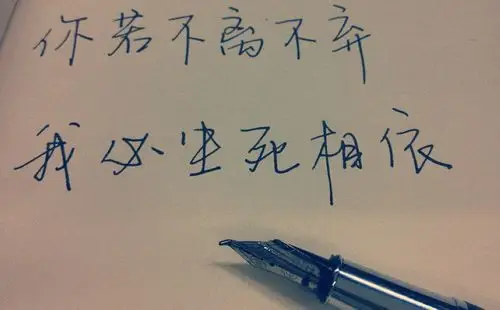 你若不离不弃,我必生死相依.