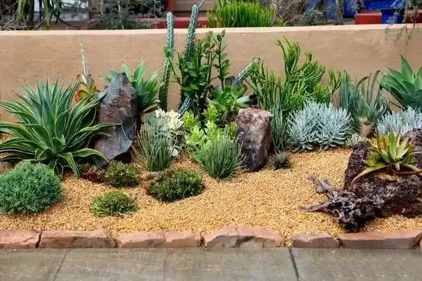 霸气外漏~~为大家搜罗了一些世界顶级的多肉植物花园设计图,如果你有