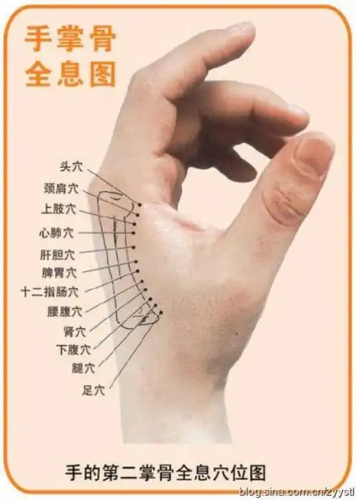 双手竟然隐藏了这麼多的穴位!身体要好,你一定要知道怎麼按!