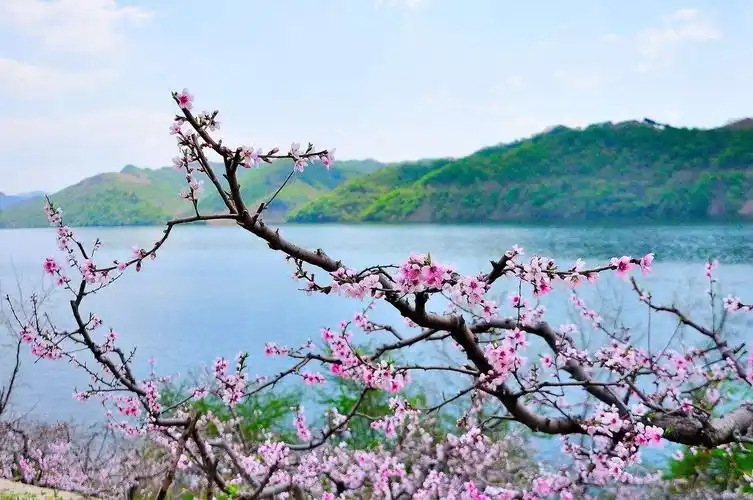 现代诗梦里的桃花水乡