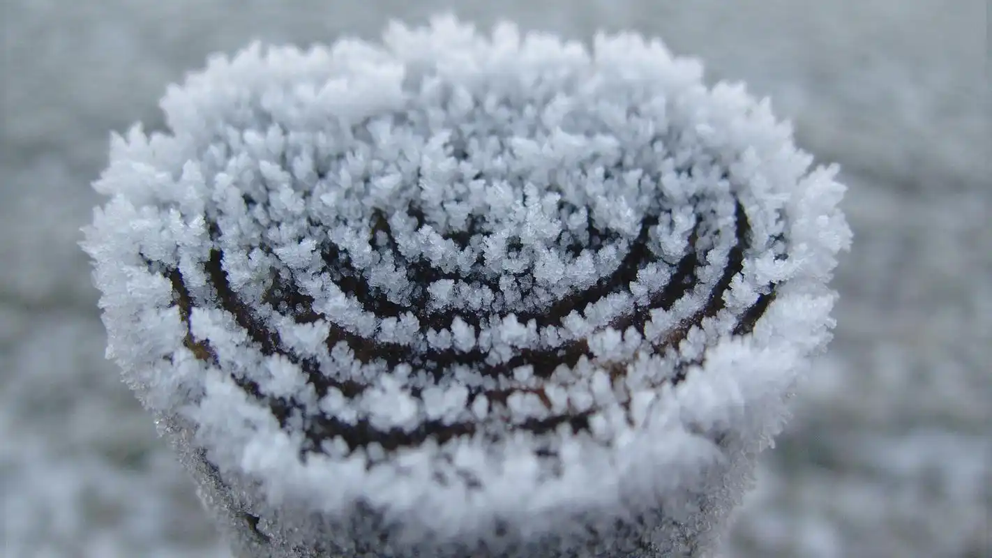 精选晶莹剔透的雪花图片高清电脑壁纸
