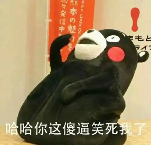哈哈 你这傻逼笑死我了 - 谁在说我帅 (熊本熊表情包)