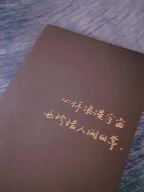 变好的从来不是生活,而是你自己当你越来越优秀,生活自然越来越好了.