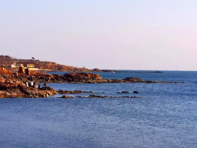 来青岛的海边看看吧