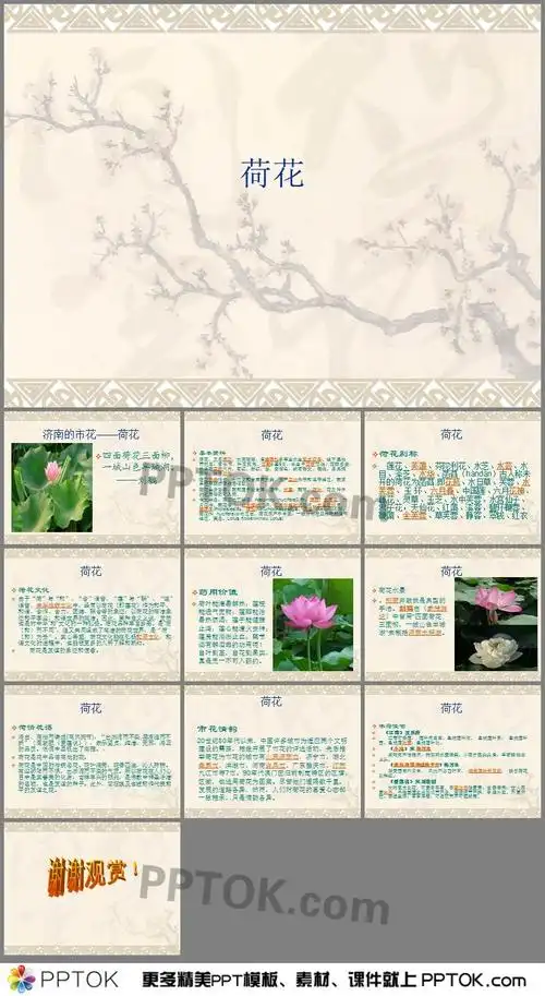 荷花介绍的ppt