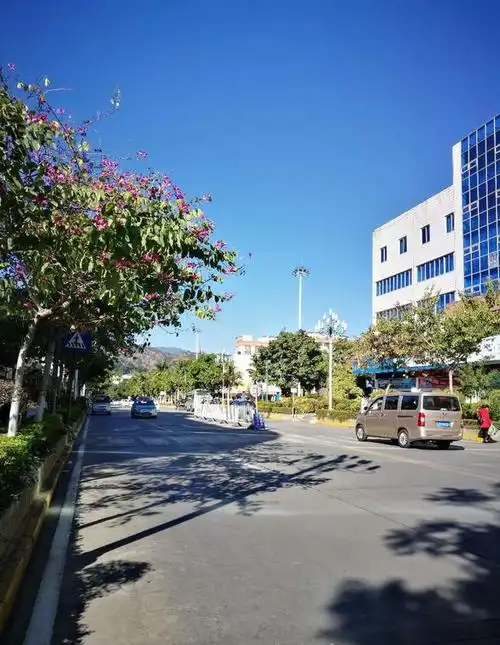 冬日暖阳 攀枝花盐边印象