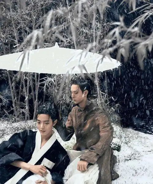 曾小贤:肖战和王一博一起拍了一组古风大片,你们觉-图1