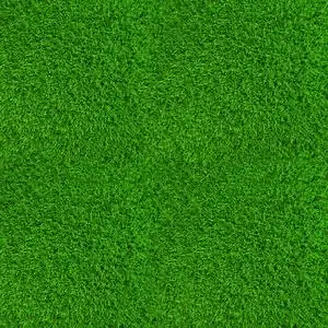 绿色草坪背景图片