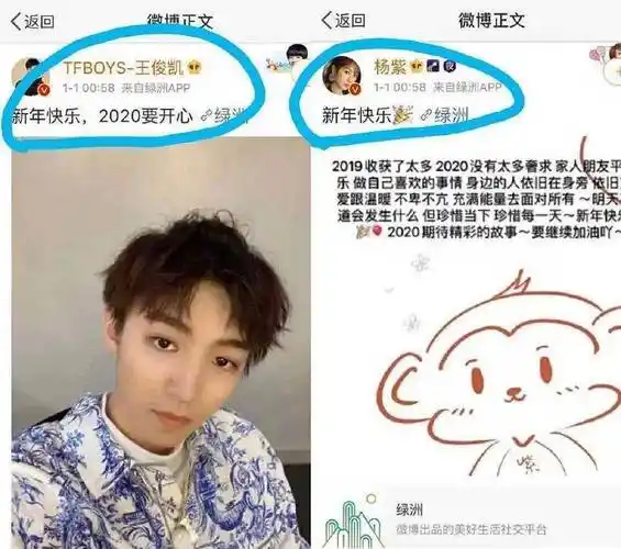 原创王俊凯粉丝好严格疑因男方给杨紫庆生引发大批粉丝脱粉网友评论