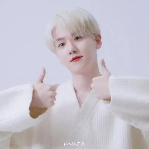 "姐姐难道不喜欢这么可爱的贤贤吗"边伯贤头像