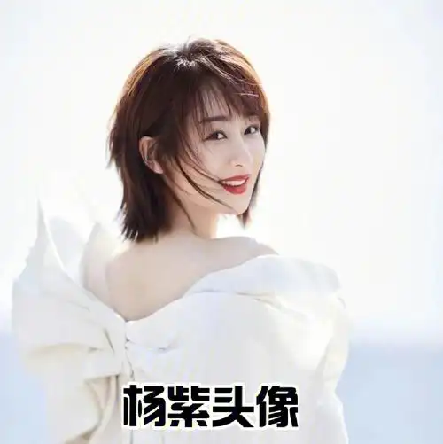 杨紫头像